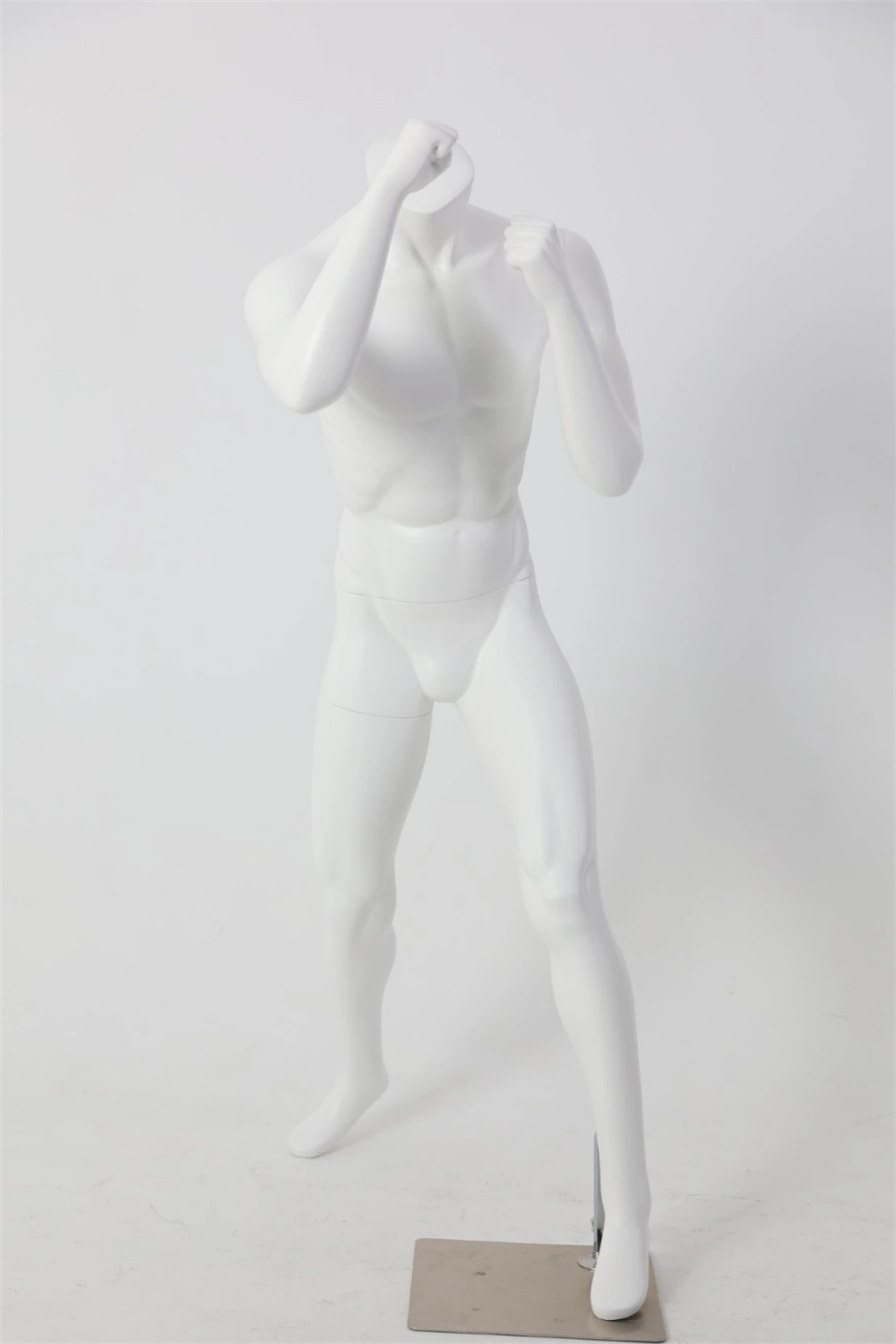 MS005